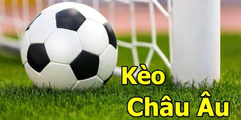 Kèo 1×2 | Tổng hợp lưu ý quan trọng cho người mới 2025