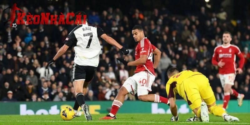 Fulham đang sở hữu thành tích đối đầu nhỉnh hơn