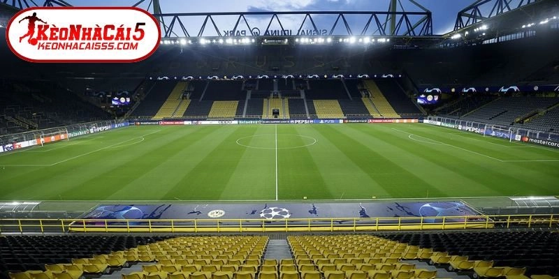 Không gian thi đấu thu hút sự chú ý