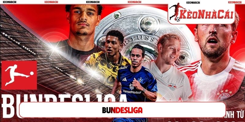 bundesliga