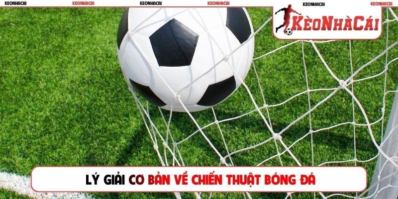 Lý giải cơ bản về chiến thuật bóng đá
