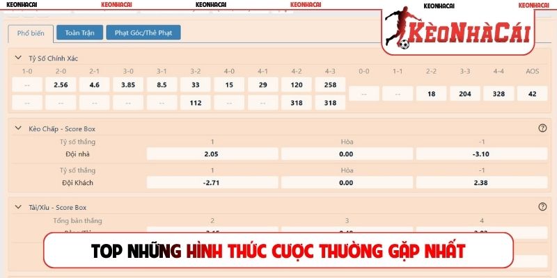 Top những hình thức cược thường gặp nhất