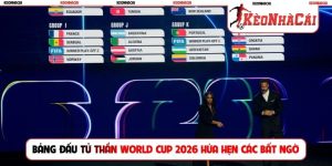 bang-dau-tu-than-world-cup-2026-hua-hen-cac-bat-ngo