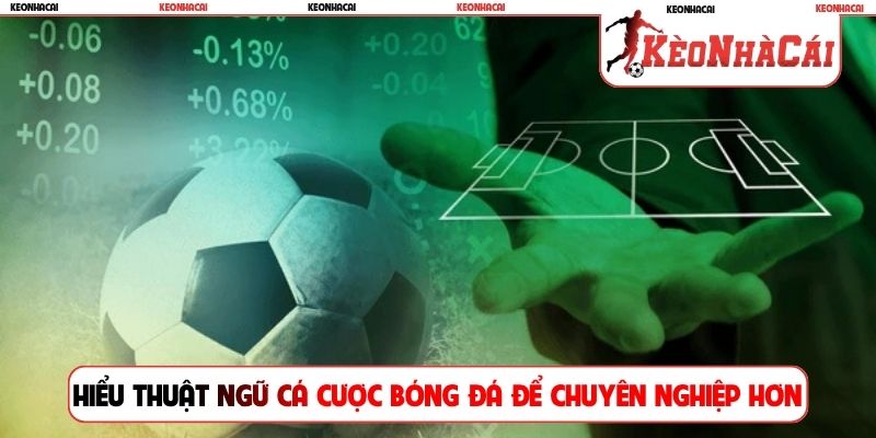 Hiểu thuật ngữ cá cược bóng đá để chuyên nghiệp hơn