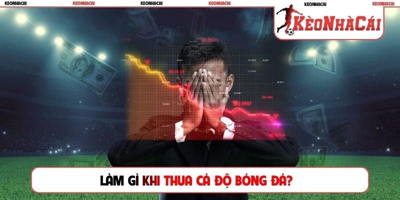 Làm gì khi thua cá độ bóng đá