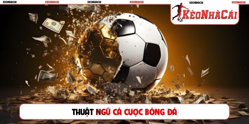 Thuật ngữ cá cược bóng đá